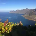 Rural Life On The Rough Coastline Of Senja