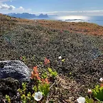 Rural Life On The Rough Coastline Of Senja Nyaraló Skaland