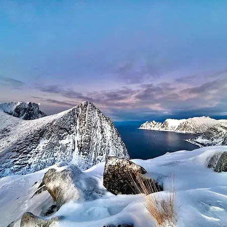 Rural Life On The Rough Coastline Of Senja *
