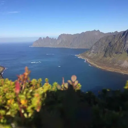 Rural Life On The Rough Coastline Of Senja
