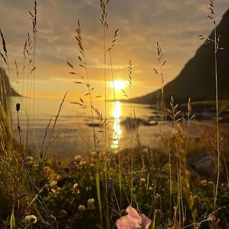 Tatil Evi Rural Life On The Rough Coastline Of Senja *