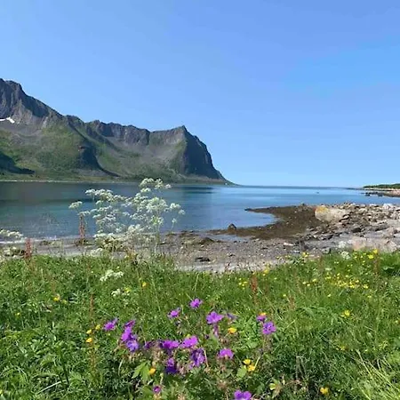 Rural Life On The Rough Coastline Of Senja Tatil Evi Skaland