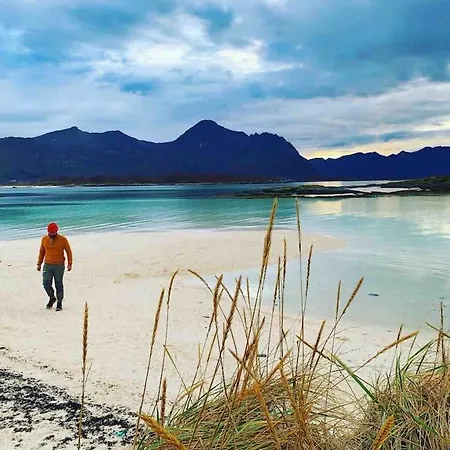 Rural Life On The Rough Coastline Of Senja * Skaland