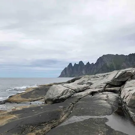 Rural Life On The Rough Coastline Of Senja Tatil Evi