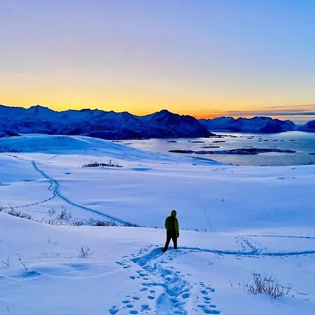 Rural Life On The Rough Coastline Of Senja