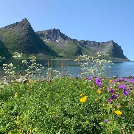 Rural Life On The Rough Coastline Of Senja *