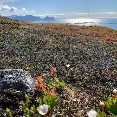 Rural Life On The Rough Coastline Of Senja Casa vacanze Skaland