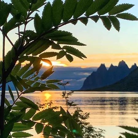Rural Life On The Rough Coastline Of Senja