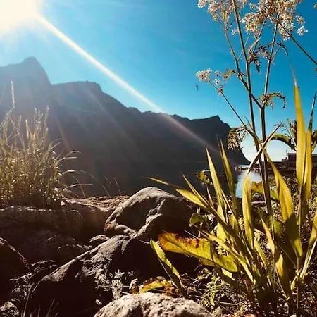 Rural Life On The Rough Coastline Of Senja Skaland