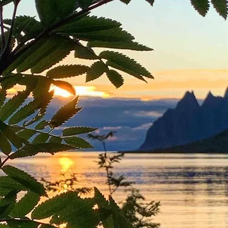 Rural Life On The Rough Coastline Of Senja
