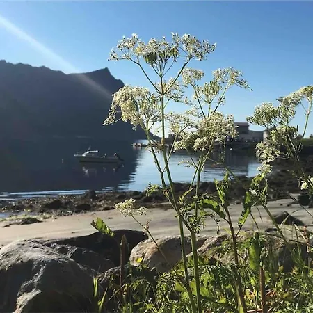 Rural Life On The Rough Coastline Of Senja Tatil Evi Skaland