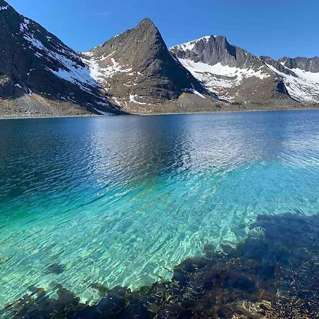 Tatil Evi Rural Life On The Rough Coastline Of Senja