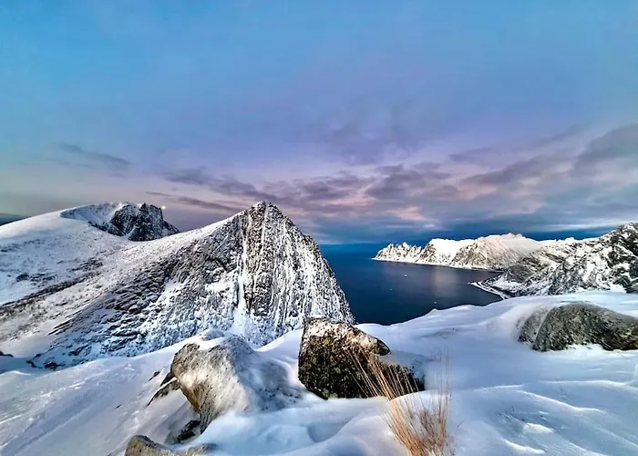 Rural Life On The Rough Coastline Of Senja *