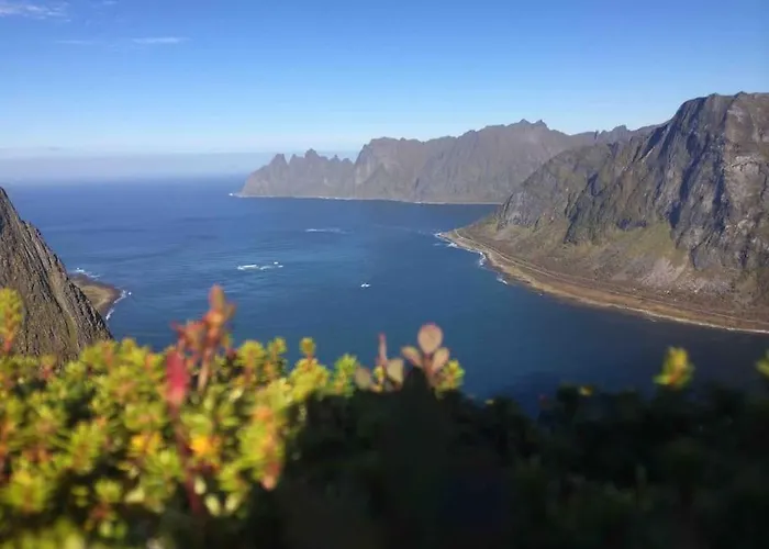 Rural Life On The Rough Coastline Of Senja