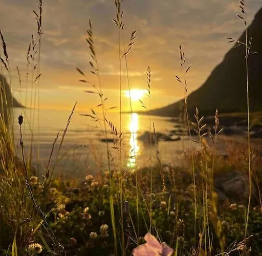 Ferienhaus Rural Life On The Rough Coastline Of Senja *