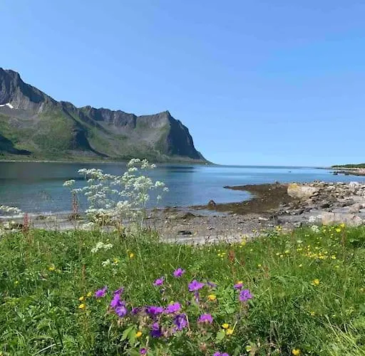Rural Life On The Rough Coastline Of Senja Ferienhaus Skaland