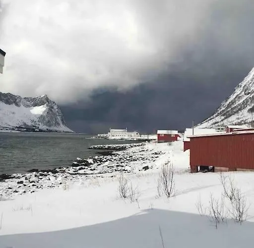 Ferienhaus Rural Life On The Rough Coastline Of Senja