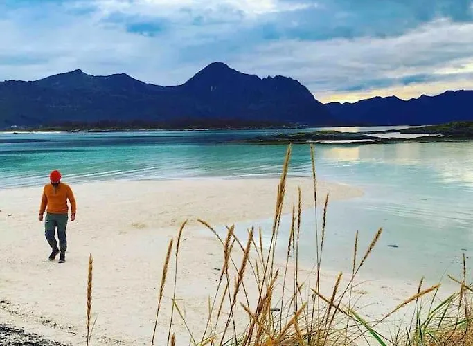 Rural Life On The Rough Coastline Of Senja * Skaland