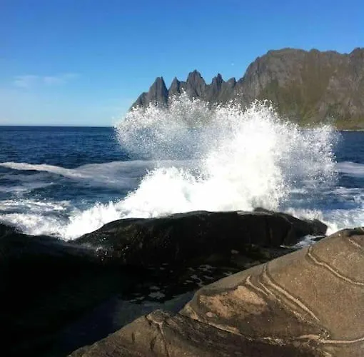Rural Life On The Rough Coastline Of Senja Ferienhaus *