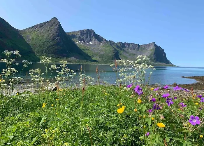 Rural Life On The Rough Coastline Of Senja *
