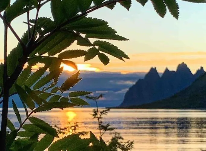 Rural Life On The Rough Coastline Of Senja