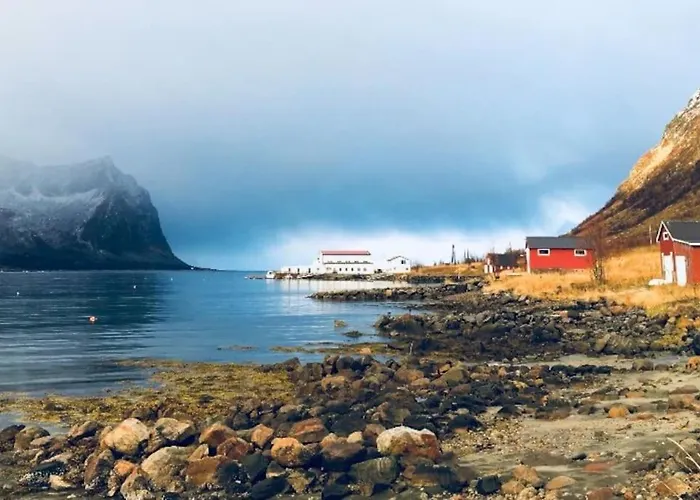 Rural Life On The Rough Coastline Of Senja *