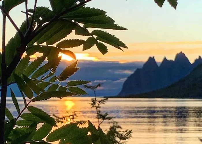 Rural Life On The Rough Coastline Of Senja