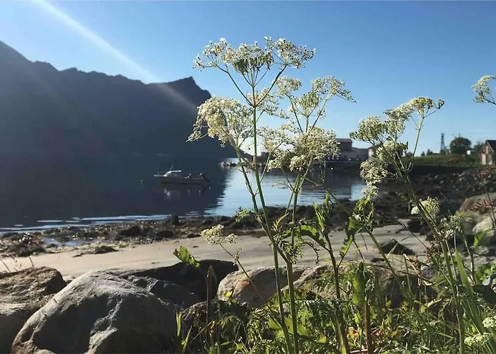 Rural Life On The Rough Coastline Of Senja Ferienhaus Skaland