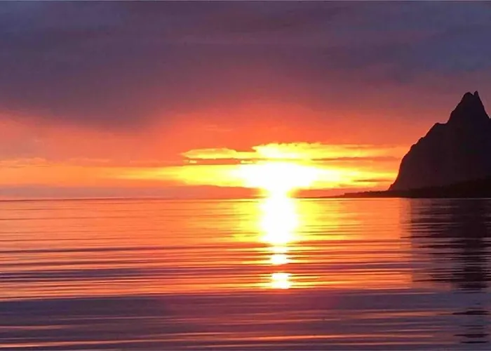 Rural Life On The Rough Coastline Of Senja *